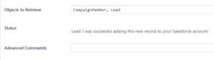 Screenshot of status message for successfully adding a lead to Salesforce from WordPress